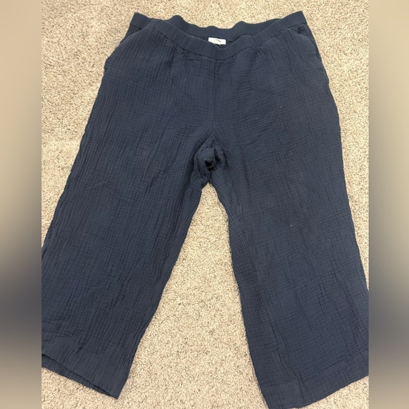 J. Jill Deep Blue Trousers - Picture 1 of 7